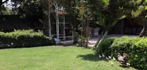 thumbnail: Garden