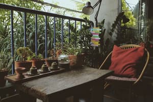 thumbnail: Reception