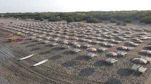 thumbnail: Beach