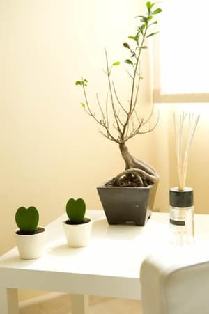 thumbnail: Interior detail