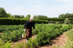 thumbnail: Garden