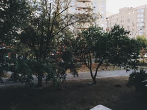 thumbnail: Garden view