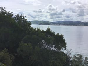 thumbnail: General view