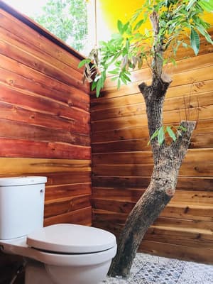 thumbnail: Bathroom sink