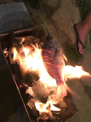thumbnail: Dining