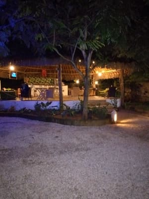 thumbnail: Garden