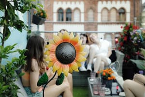 thumbnail: Rooftop terrace