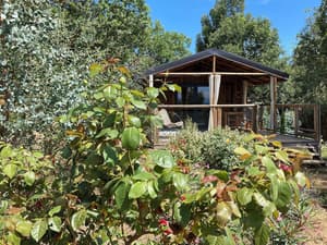 thumbnail: Terrace/patio