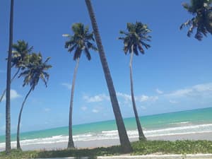 thumbnail: Beach