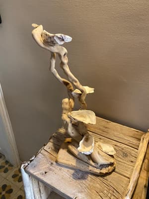 thumbnail: Interior