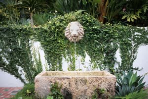 thumbnail: Garden