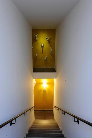 thumbnail: Interior