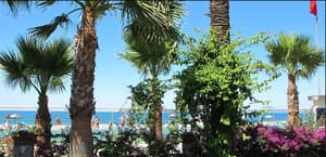 thumbnail: Garden