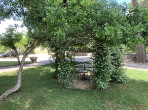 thumbnail: Garden