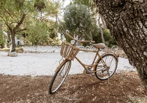 thumbnail: Bicycling