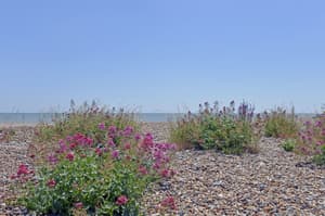 thumbnail: View from property