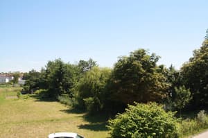 thumbnail: Garden