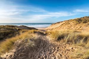 thumbnail: Beach