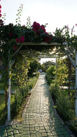 thumbnail: Garden