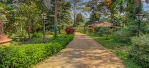 thumbnail: Garden