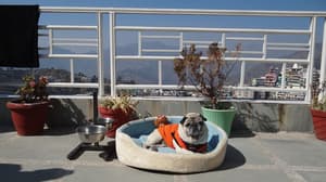 thumbnail: Terrace/patio
