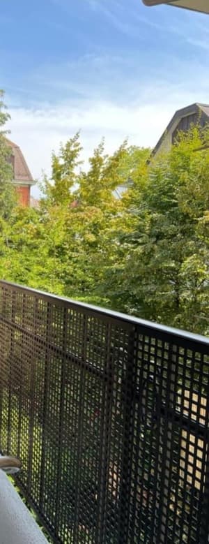 thumbnail: Garden view