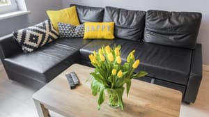 thumbnail: Living room