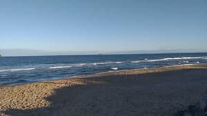 thumbnail: Beach