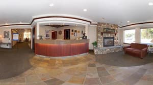 thumbnail: Reception