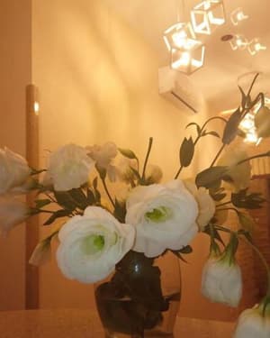 thumbnail: Interior