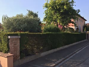thumbnail: Garden