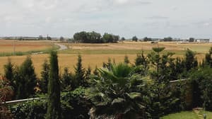 thumbnail: View from room