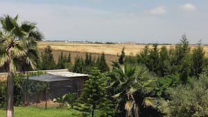 thumbnail: Balcony view