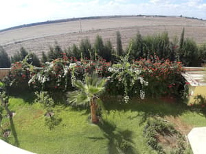 thumbnail: View from property