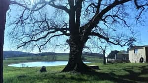 thumbnail: Lake