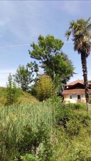 thumbnail: Garden