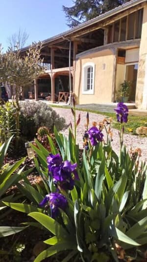 thumbnail: Garden