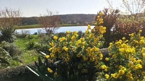 thumbnail: Garden