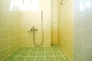 thumbnail: Bathroom shower