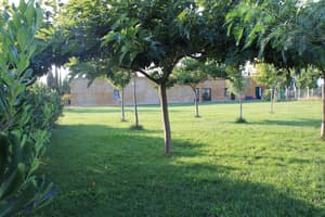 thumbnail: Garden