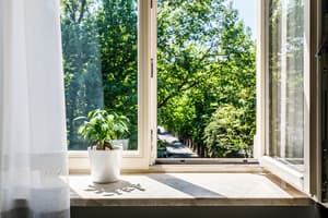 thumbnail: View from room