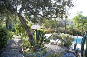 thumbnail: Garden