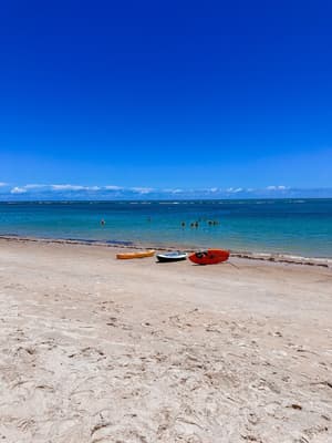 thumbnail: Beach bar