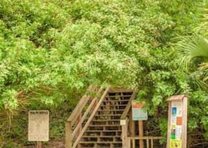 thumbnail: Property grounds