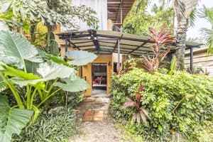 thumbnail: Garden view