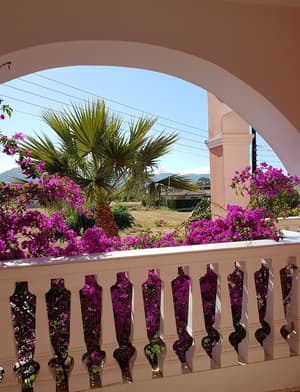thumbnail: Terrace/patio