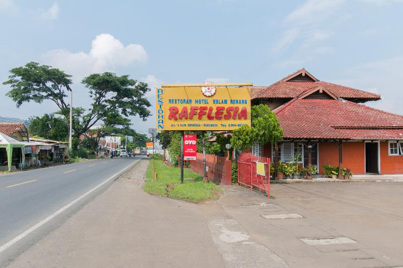 General view