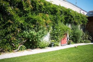 thumbnail: Garden