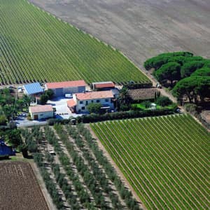 thumbnail: Aerial view