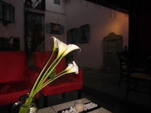 thumbnail: General view
